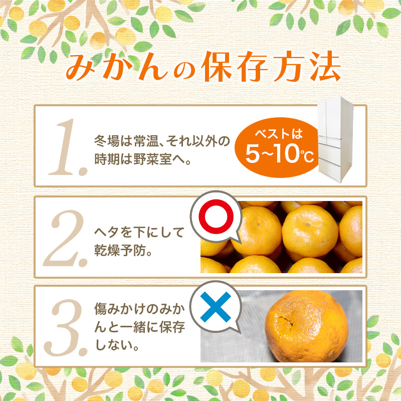 【2026年11月発送予約分】＼光センサー選別／農家直送 こだわりの完熟有田みかん 約8kg＋150g(傷み補償分) 【ご家庭用】【11月発送】【nuk100-11C】