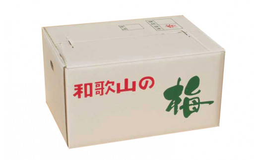 【梅干・梅酒用】（LまたはM－10Kg）熟南高梅＜2027年6月上旬～7月上旬ごろに順次発送予定＞【art013B】