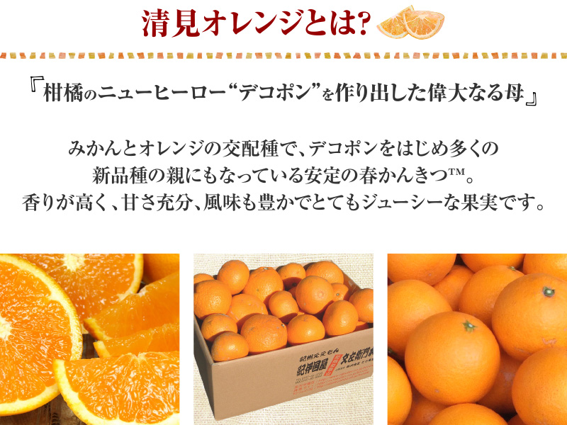 清見オレンジ約8kg/果実サイズおまかせ　※2027年2月中旬～2027年4月下旬頃に発送予定　紀伊国屋文左衛門本舗【ntbt401C】