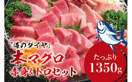 本マグロ（養殖）トロ＆赤身セット 1350g 【2ヶ月以内に順次発送】【配達日指定不可】   高級 クロマグロ 中トロ 中とろ まぐろ マグロ 鮪 刺身 赤身 柵 じゃばらまぐろ 本マグロ 本鮪【nks111C】