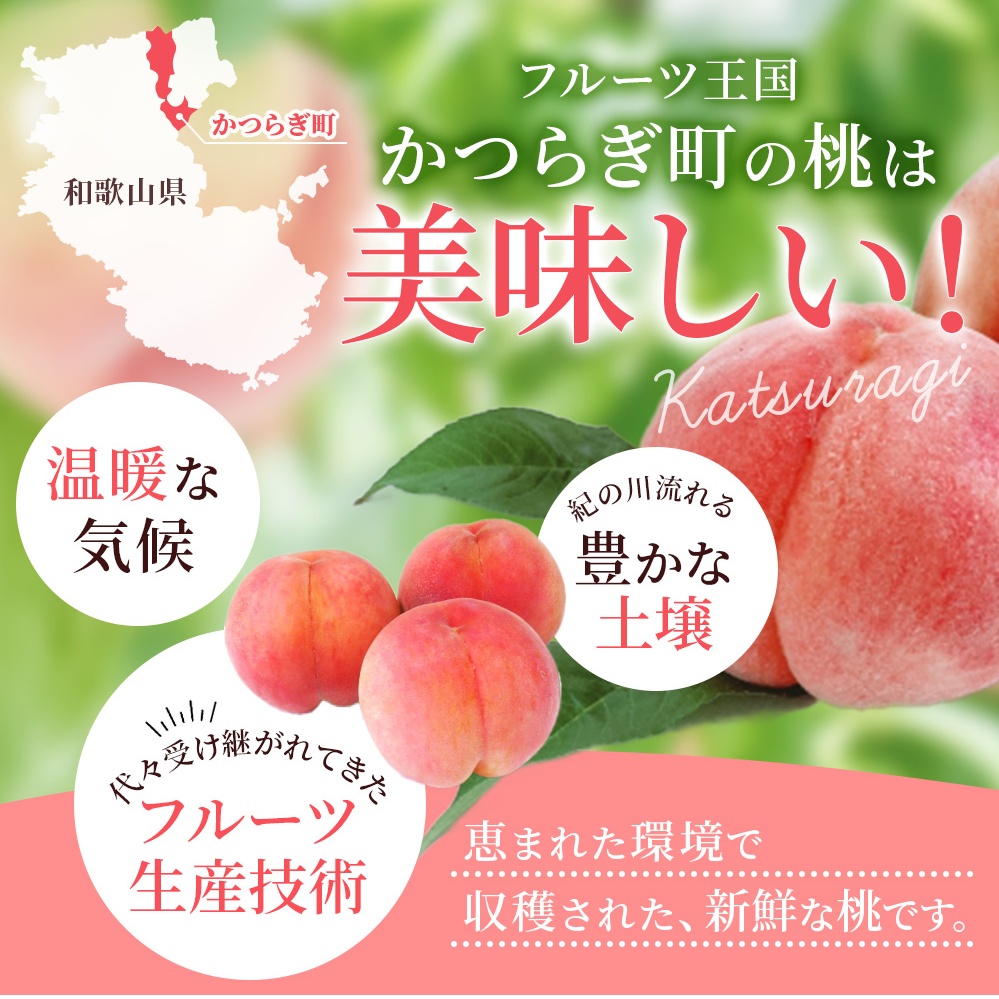【先行予約】【厳選】あふれる果汁で口いっぱい！ 和歌山県産 桃 約2kg（6個～8個） 【2027年6月20日頃～順次発送予定】（お届け日指定不可）/ 和歌山 桃 モモ フルーツ もも 白桃 果物 くだもの【kgr001B】
