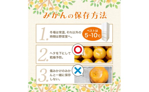 【2026年11月発送予約分】＼光センサー選別／農家直送 こだわりの完熟有田みかん 約10kg＋150g(傷み補償分) 【ご家庭用】 【11月発送】有機質肥料100% 有田みかん みかん ミカン 蜜柑 柑橘 果物 フルーツ 甘い 温州みかん 先行予約 【nuk101-11C】