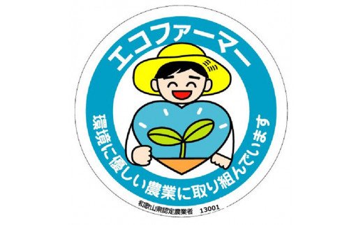採れたてタネなし柿“3L”サイズ7.5kg＜2026年10月中旬～10月下旬頃発送予定＞ 【art021A】