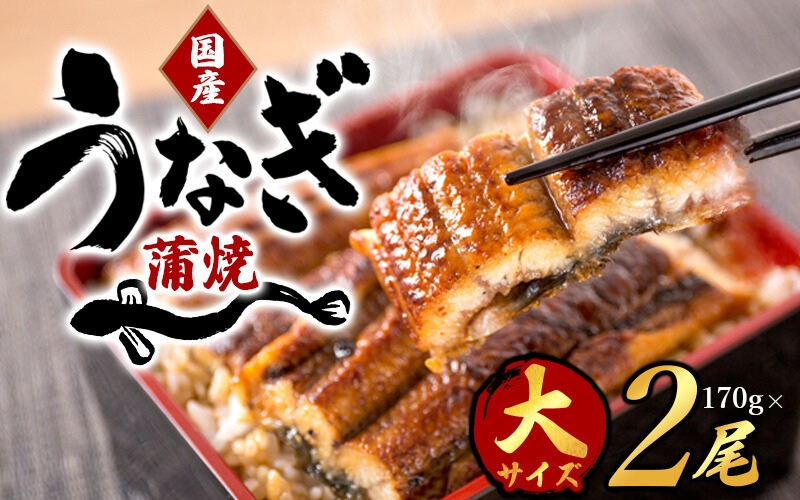 大型サイズ ふっくら柔らか国産うなぎ蒲焼き ２尾 うなぎ 国産 特大【uot302B-3】