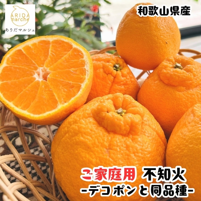 【先行予約】有田育ちの濃厚 不知火 ( デコポン と同品種)( 訳あり 家庭用 )  10kg+200g(痛み補償分) ※2027年1月下旬～3月下旬に順次発送【ard023C】