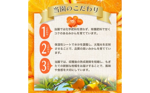 【2027年1月発送予約分】＼光センサー選別／ 農家直送 こだわりの 完熟 有田みかん 約10kg＋150g(傷み補償分) 【ご家庭用】【1月発送】 有機質肥料100% 有田みかん みかん ミカン 蜜柑 柑橘 果物 フルーツ 甘い 温州みかん 先行予約 【nuk101-01A】