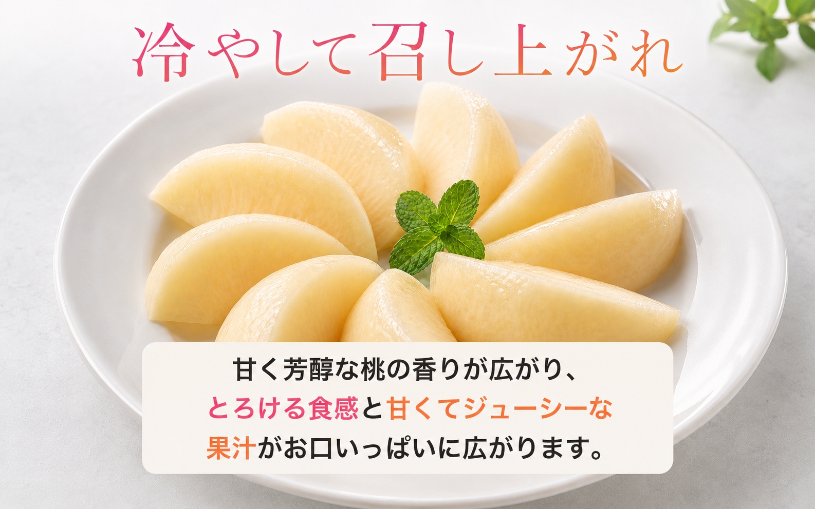 秀品　紀州和歌山産の桃　3玉　化粧箱入　※2027年6月下旬頃〜8月上旬頃順次発送（お届け日指定不可）【uot750】