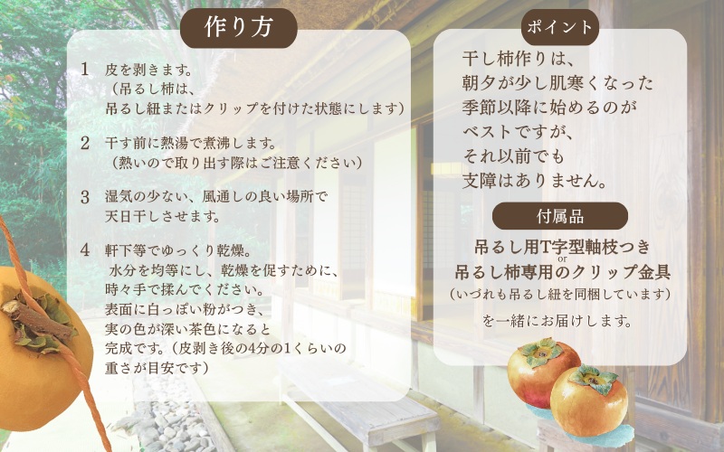 甘さが違う！とっても甘くなる生渋柿（平たねなし柿）吊るし柿用  T字枝or吊るしクリップ付約4.5～5kg　約24～30個＜2026年10月中旬～順次発送＞-Ted【art016B】
