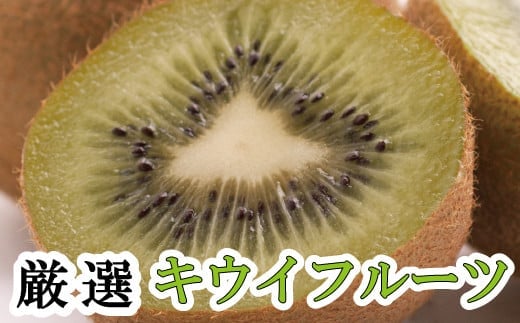 厳選キウイフルーツ5kg+250g（傷み補償分）【ikd133D】