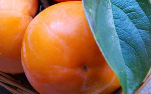 ［厳選・産直］和歌山産の富有柿約2kg（化粧箱入り）（2L～4Lサイズ）【2026年発送】【tec406B】