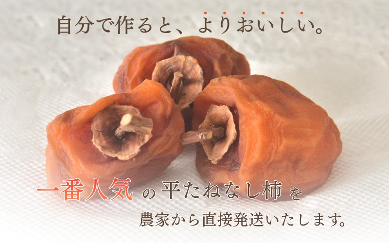 甘さが違う！とっても甘くなる生渋柿（平たねなし柿）吊るし柿用  T字枝or吊るしクリップ付約4.5～5kg　約24～30個＜2026年10月中旬～順次発送＞-Ted【art016B】