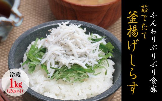 茹でたて釜揚げしらす　1kg(250g×4パック)【冷蔵】無添加・無着色 しらす シラス 釜揚げ 小分け 冷蔵【mar101A】