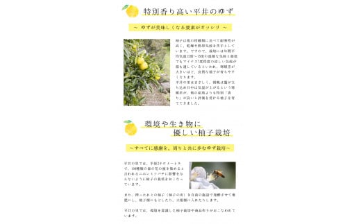古座川町のゆずドリンク ストレートドリンク柚香ちゃん（10本入り）ゆず 柚子 柚 ユズ ジュース ドリンク【yuz101B】