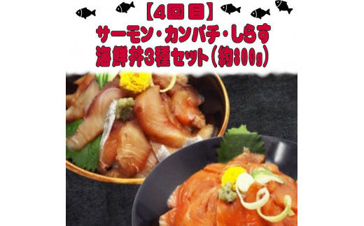 【4回定期便】人気のお魚集合定期便 さば 銀鮭 うなぎ 海鮮丼【tkb308】
