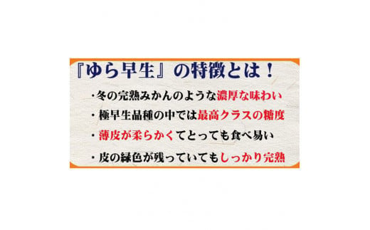 濃厚な味わい ご家庭用 ゆら早生みかん　約4kg　サイズ混合  希少品種《有機質肥料100％》※2026年10月～11月に順次発送予定【nuk162B】
