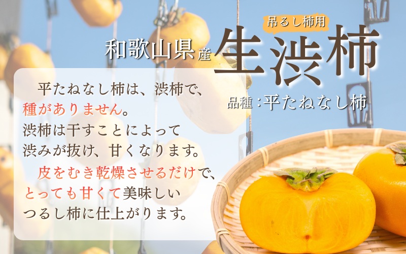 甘さが違う！とっても甘くなる生渋柿（平たねなし柿）吊るし柿用  T字枝or吊るしクリップ付約14.5～15kg　約60～90個＜2026年10月中旬～11月上旬ごろ順次発送＞Ted【art015B】