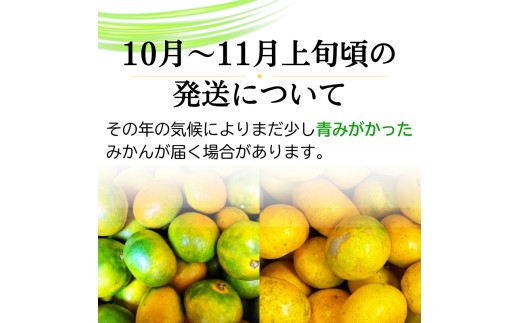 【2026年11月発送予約分】＼光センサー選別／農家直送 こだわりの完熟有田みかん 約10kg＋150g(傷み補償分) 【ご家庭用】 【11月発送】有機質肥料100% 有田みかん みかん ミカン 蜜柑 柑橘 果物 フルーツ 甘い 温州みかん 先行予約 【nuk101-11C】