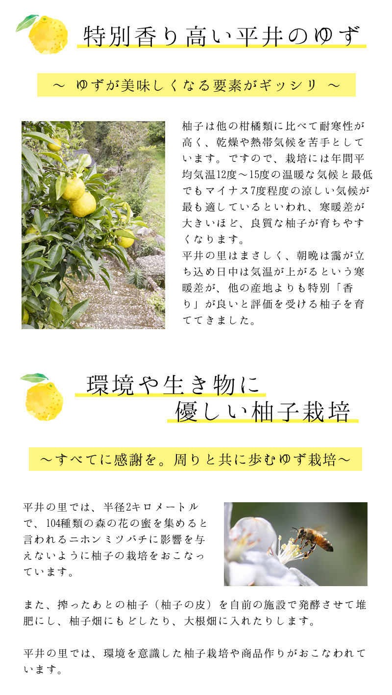 古座川町の しそジュース 300ml 3本 しそ シソ 紫蘇 ドリンク 和歌山【yuz137A】