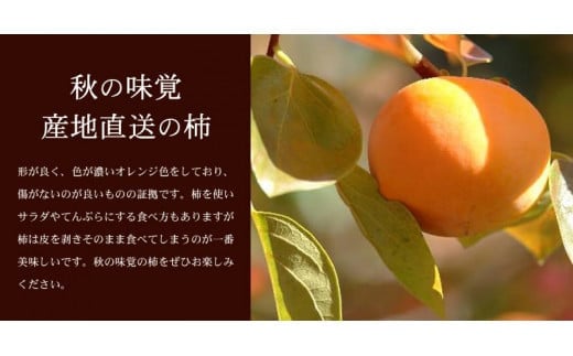 和歌山の 種なし 柿 約7.5kg【秀品：サイズ・品種おまかせ】和歌山県産/紀伊国屋文左衛門本舗　※2026年9月下旬～2026年11月下旬頃に順次発送予定(お届け日指定不可)【kztb801B】