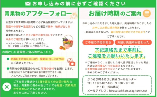 【先行予約】和歌山県産 紀州熟南高梅 生うめ 約3kg (S・Mサイズ混合) 訳あり ご家庭用 青梅 黄梅 梅干し 梅酒 シロップ ジャム用 2027年6月下旬〜7月上旬発送【art043】
