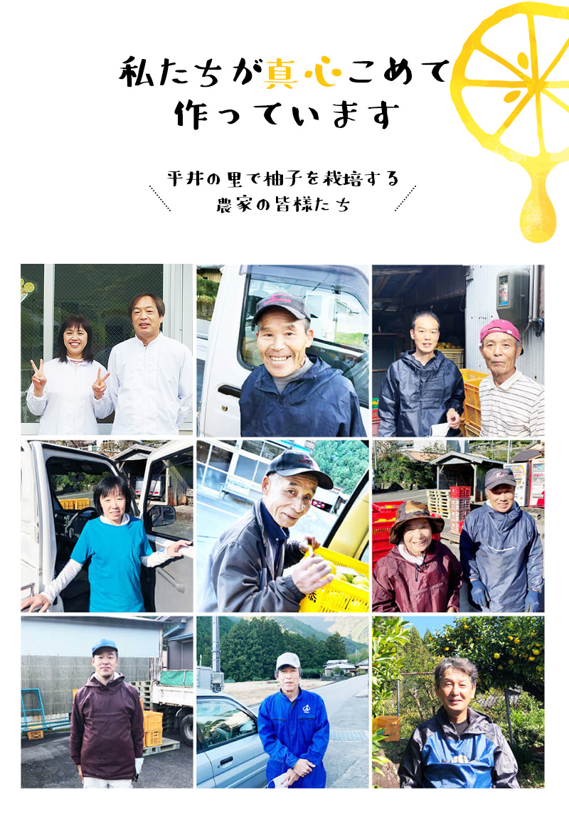 古座川町の しそジュース 300ml 3本 しそ シソ 紫蘇 ドリンク 和歌山【yuz137A】