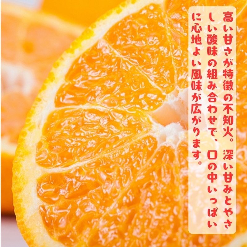 【先行予約】有田育ちの濃厚 不知火 ( デコポン と同品種)( 訳あり 家庭用 )  10kg+200g(痛み補償分) ※2027年1月下旬～3月下旬に順次発送【ard023C】
