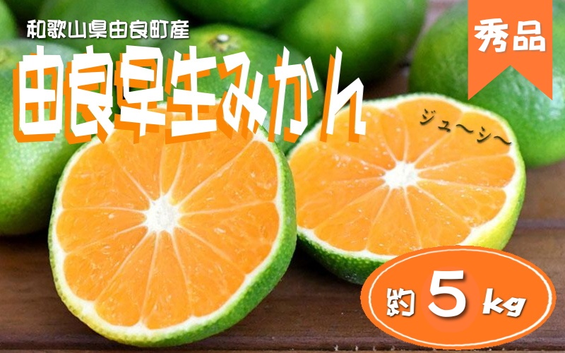 ≪秀品≫和歌山由良町産 由良早生みかん 約5kg サイズおまかせ【sml106D】