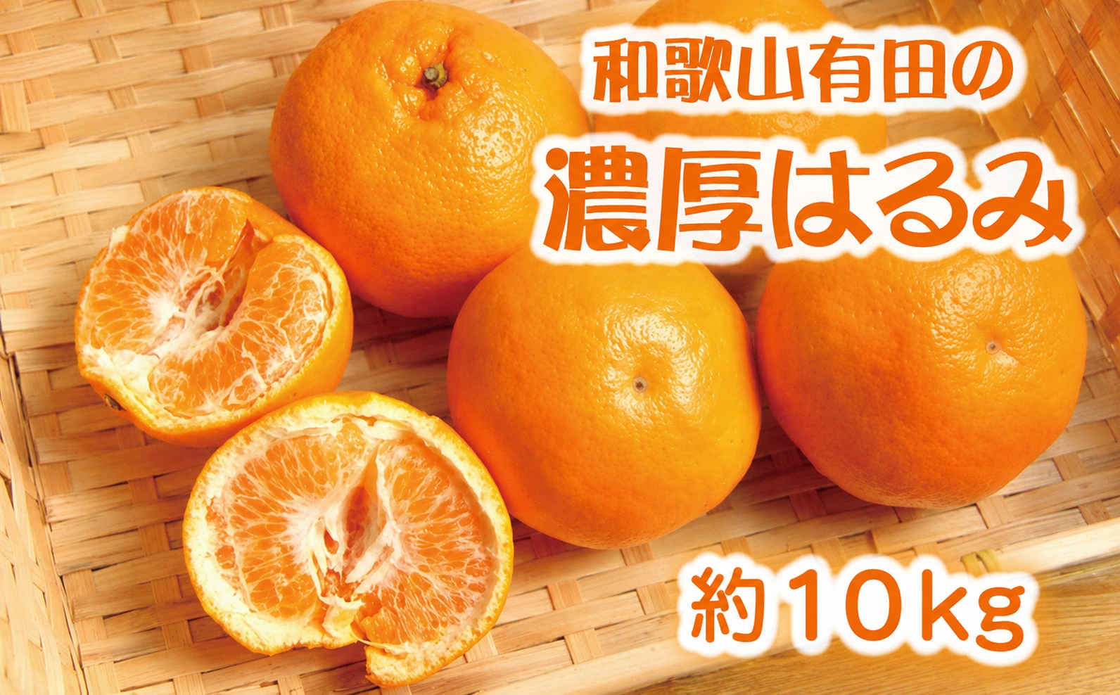 和歌山有田の濃厚はるみ約10kg (S又はMサイズ)※2027年1月下旬～2月中旬順次発送予定/みかん 蜜柑 フルーツ 果物 【ard204】 