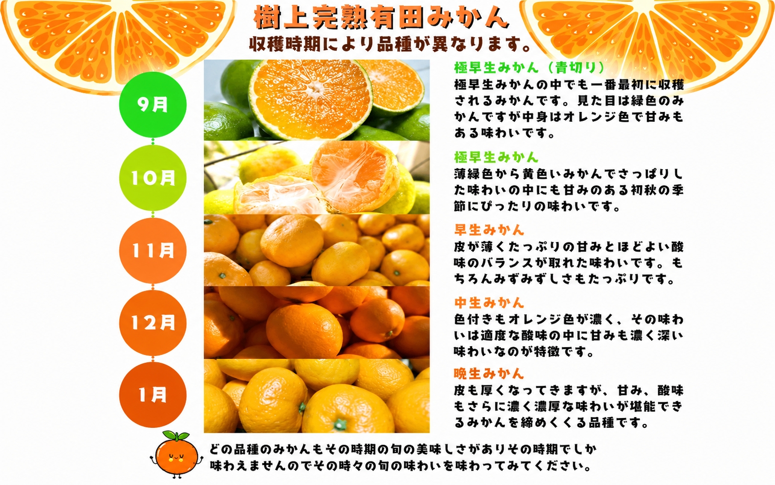 【2026年9月中旬～10月上旬頃に順次発送予定】有田育ちの完熟有田みかん 家庭用 サイズ混合(2S～2L)　約2.2kg(2kg+200g)【ard201A-09】