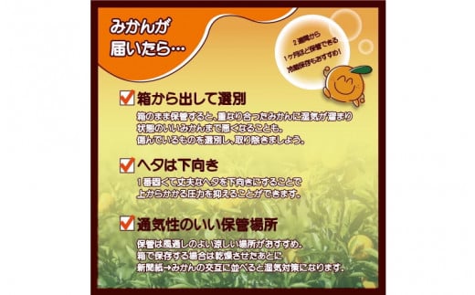 【訳あり】2S～3Lサイズおまかせ！有田みかん 6kg+1kg保証分 11月から12月下旬までに順次発送致します。 / 訳ありみかん 有田みかん みかん ミカン 蜜柑 柑橘 温州みかん 和歌山 ご家庭用 