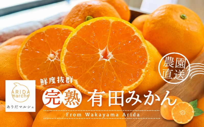 【12月発送】農園直送!完熟有田みかん 約3kg＋200g【サイズ混合】 ※北海道・沖縄・離島への配送不可【ard002C-12】