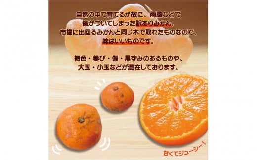【訳あり】2S～3Lサイズおまかせ！有田みかん 6kg+1kg保証分 11月から12月下旬までに順次発送致します。 / 訳ありみかん 有田みかん みかん ミカン 蜜柑 柑橘 温州みかん 和歌山 ご家庭用 