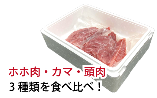 【訳あり】本マグロ希少部位三点セット約600g 本鮪 本まぐろ