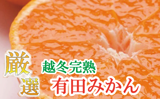 厳選　越冬完熟みかん1.5kg+45g（傷み補償分）【ハウスみかん】【光センサー選別】＜1月中旬より順次発送予定＞