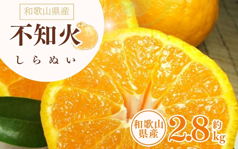 デコ不知火(デコポンと同品種) 約2.8kg サイズおまかせ ※2027年2月上旬～2027年4月上旬頃に順次発送予定(お届け日指定不可) / 不知火 しらぬい デコポン デコ不知火 果物 フルーツ 柑橘 蜜柑 【kztb421C】
