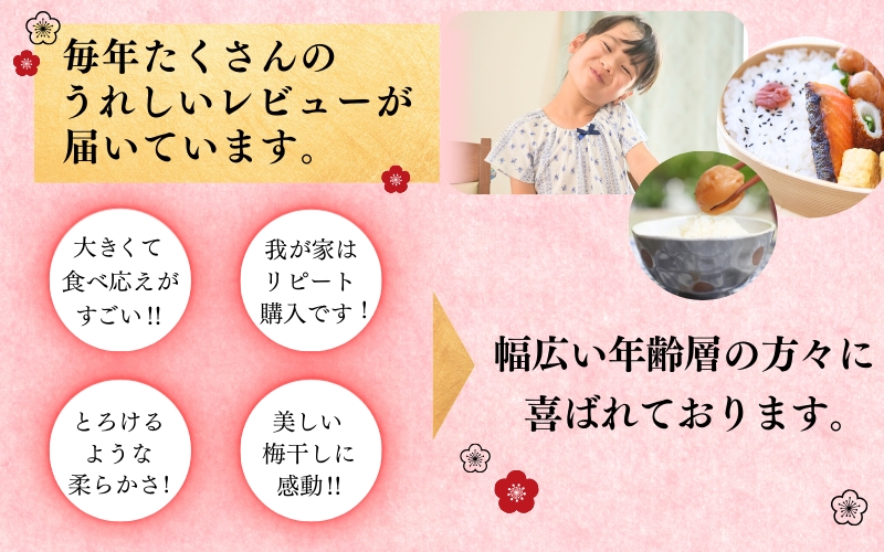 最高級紀州南高梅・大粒優梅 1kg　無添加【ご家庭用】 / 梅干 梅干し 梅 うめ 南高梅 家庭用【inm510C】