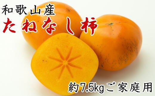 【秋の味覚】和歌山産のたねなし柿ご家庭用約7.5kg　【tec410A】