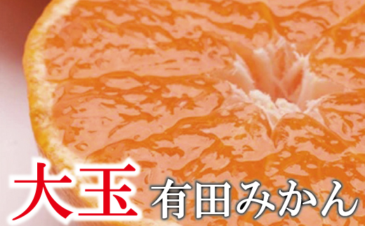 ＜11月より発送＞家庭用 大きな有田みかん（完熟）10kg+250g（傷み補償分）【わけあり・訳あり】【光センサー選果】【ikd120D】