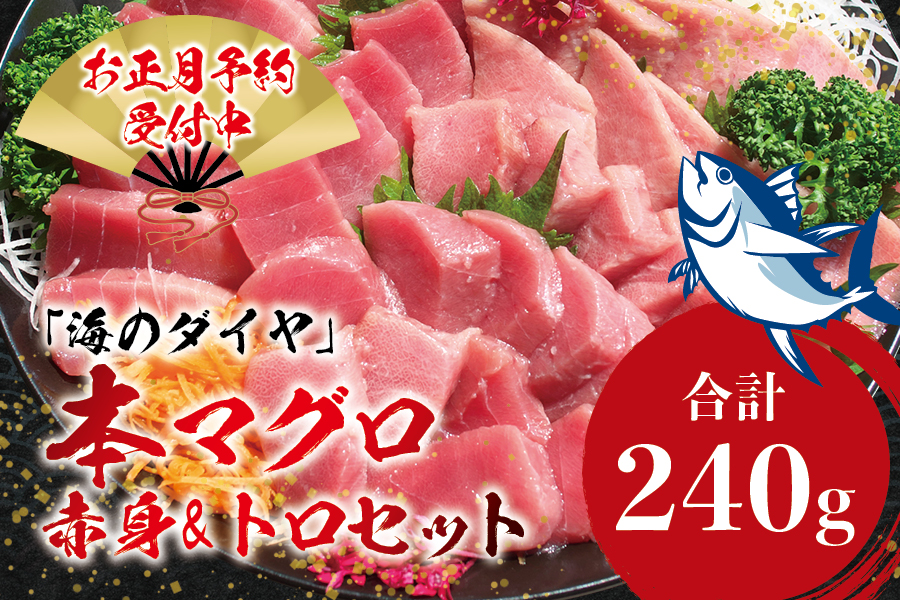 【お正月予約12月25日～29日発送】本マグロ（養殖）トロ＆赤身セット 240g 　高級 クロマグロ  中トロ 中とろ まぐろ マグロ 鮪 刺身 赤身 柵 じゃばらまぐろ 本マグロ 本鮪【nks113B-sg】
