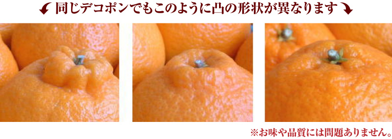 デコ不知火(デコポンと同品種) 約2.8kg サイズおまかせ ※2027年2月上旬～2027年4月上旬頃に順次発送予定(お届け日指定不可) / 不知火 しらぬい デコポン デコ不知火 果物 フルーツ 柑橘 蜜柑 【kztb421C】