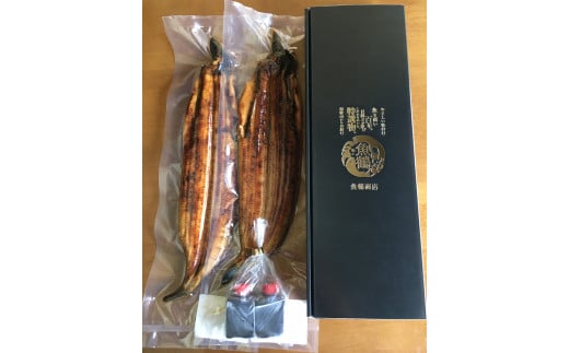 大型サイズ ふっくら柔らか国産うなぎ蒲焼き ２尾 うなぎ 国産 特大【uot302B-3】