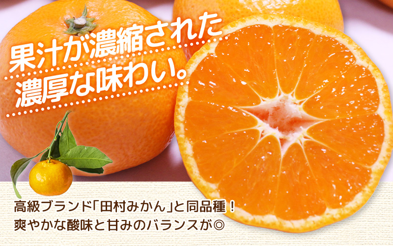 ＼ みかんの名産地 和歌山県産／ 農家直送 大玉 有田みかん 10kg （2L～3L） ひとつひとつ手選別で厳選【2026年11月下旬～2027年1月中旬ごろに順次発送予定】 | みかん フルーツ 果物 くだもの 有田みかん 蜜柑 柑橘【hdm001-2A】