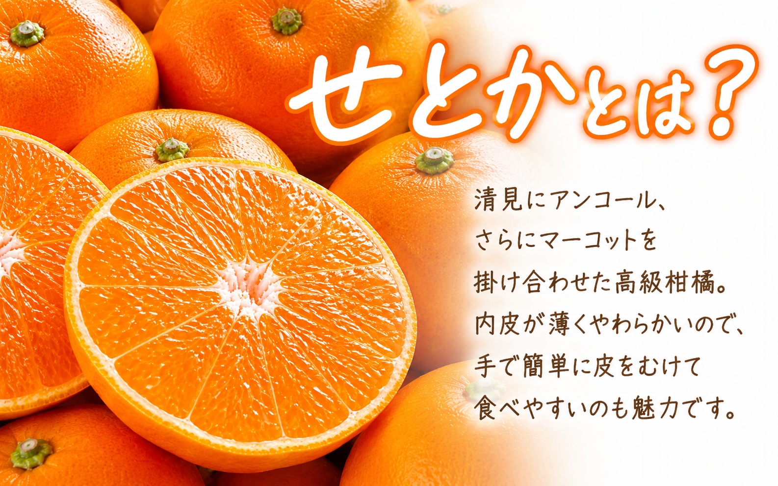 【ご家庭用訳あり】紀州和歌山産　せとか　約５ｋｇ　【先行予約】【みかん】 ※2027年2月中旬頃～3月中旬頃発送予定（お届け日指定不可） 【uot748B】