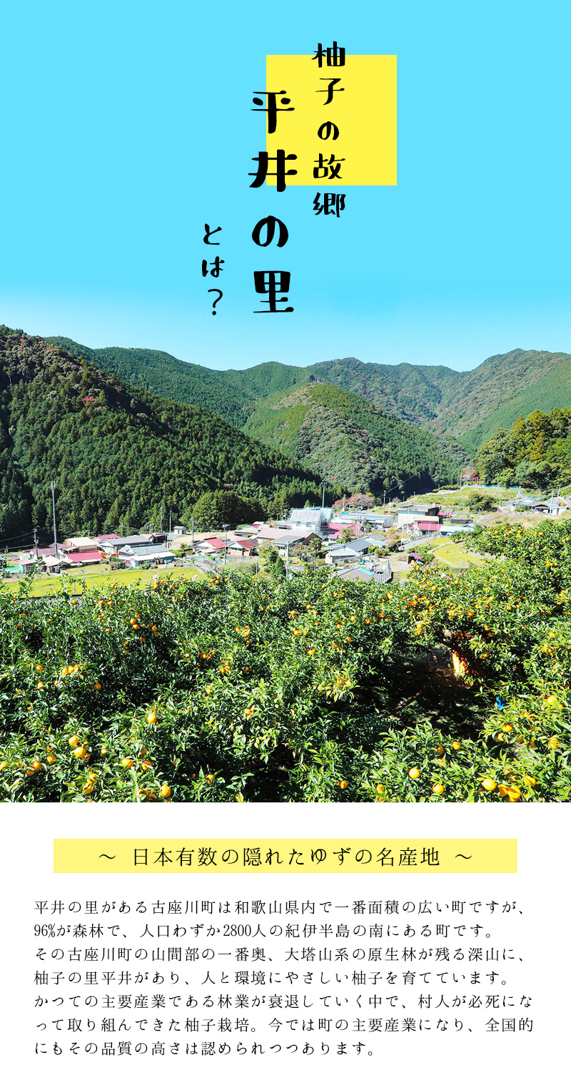 古座川町の しそジュース 300ml 3本 しそ シソ 紫蘇 ドリンク 和歌山【yuz137A】