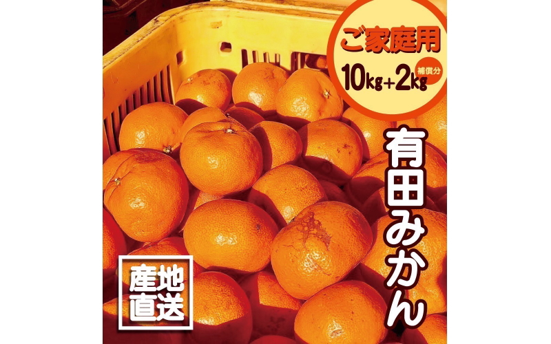 【訳あり】2S～3Lサイズおまかせ！有田みかん 10kg+2kg保証分 11月から12月下旬までに順次発送致します。 / 訳ありみかん 有田みかん みかん ミカン 蜜柑 柑橘 温州みかん 和歌山 ご家庭用 