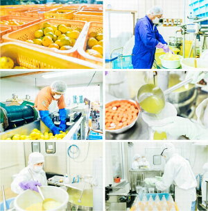 古座川町 おばぁの柚子みそドレッシング 180ml 5本 ゆず 柚子 柚 ユズ 野菜 味噌 みそ【yuz127A】