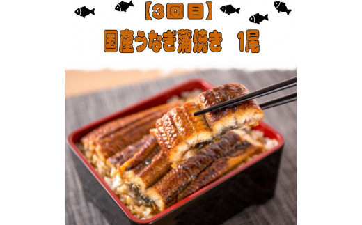 【4回定期便】人気のお魚集合定期便 さば 銀鮭 うなぎ 海鮮丼【tkb308】