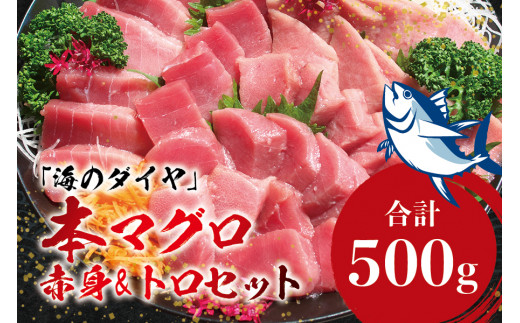 【大容量】本マグロ（養殖）トロ＆赤身セット 500g (中トロ・赤身柵) 冷凍 刺身 食べ比べ 海鮮丼用 まぐろ マグロ 鮪 ご家庭用【nks110E】