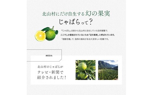 【期間限定】じゃばら果実 3キロ＋約300g (傷み保証分) 【予約受付/11月下旬より順次発送】【njb182A】