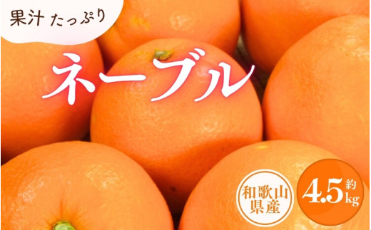 ネーブル 約4.5kg/サイズおまかせ　※2027年1月中旬～2027年2月中旬頃に順次発送予定(お届け日指定不可)　紀伊国屋文左衛門本舗【ntb431D】